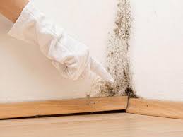 Best Mold Remediation for Healthcare Facilities  in Thomaston, GA